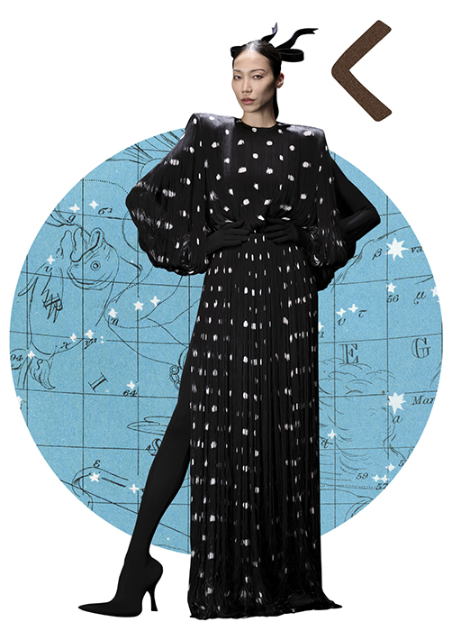 Znamení horoskopu Cypřiš