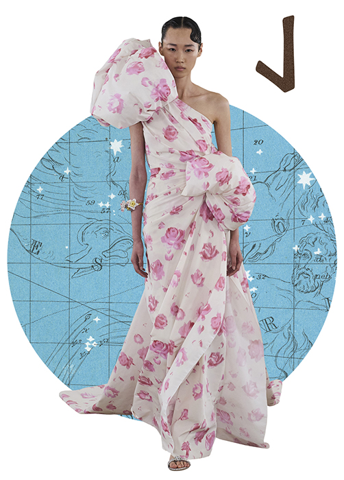 Znamení horoskopu Jeřáb