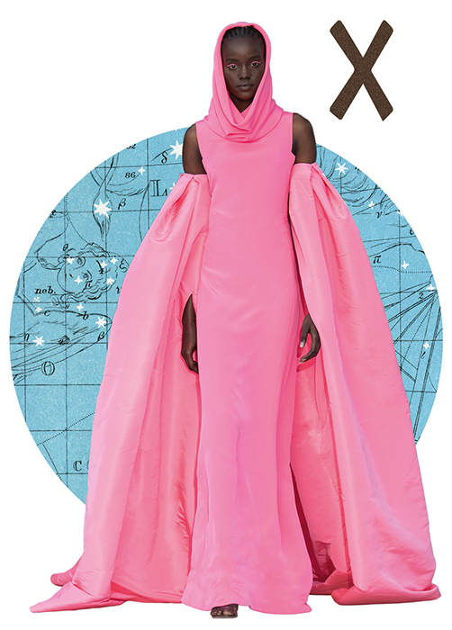 Znamení horoskopu Jilm