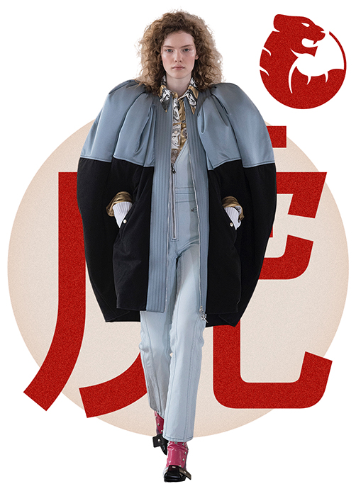 Znamení horoskopu Tygr