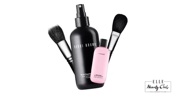 JAK SPRÁVNĚ ČISTIT ŠTĚTCE? JAK SPRÁVNĚ ČISTIT ŠTĚTCE?