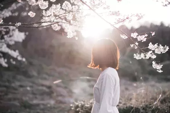 Getty Images Getty Images