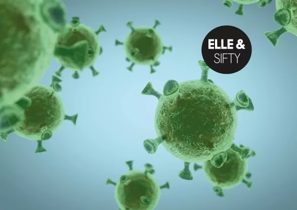 ELLE & Sifty ELLE & Sifty