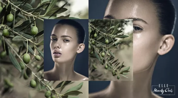 OLIVOVÝ OLEJ A JEHO BLAHODÁRNÉ ÚČINKY OLIVOVÝ OLEJ A JEHO BLAHODÁRNÉ ÚČINKY