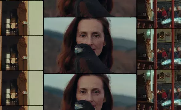 Never Sol LEON Never Sol LEON