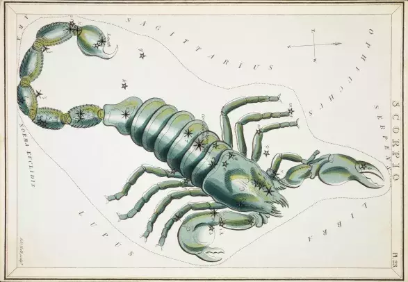 Listopadový horoskop Štír Listopadový horoskop Štír