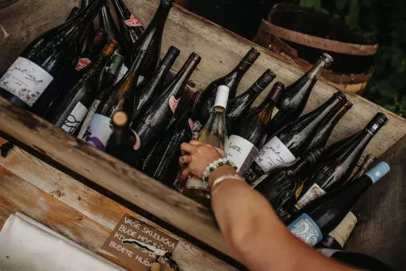 Jana Jelič Jana Jelič