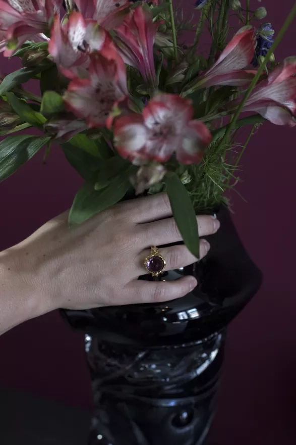 archiv Janji Prokić archiv Janji Prokić