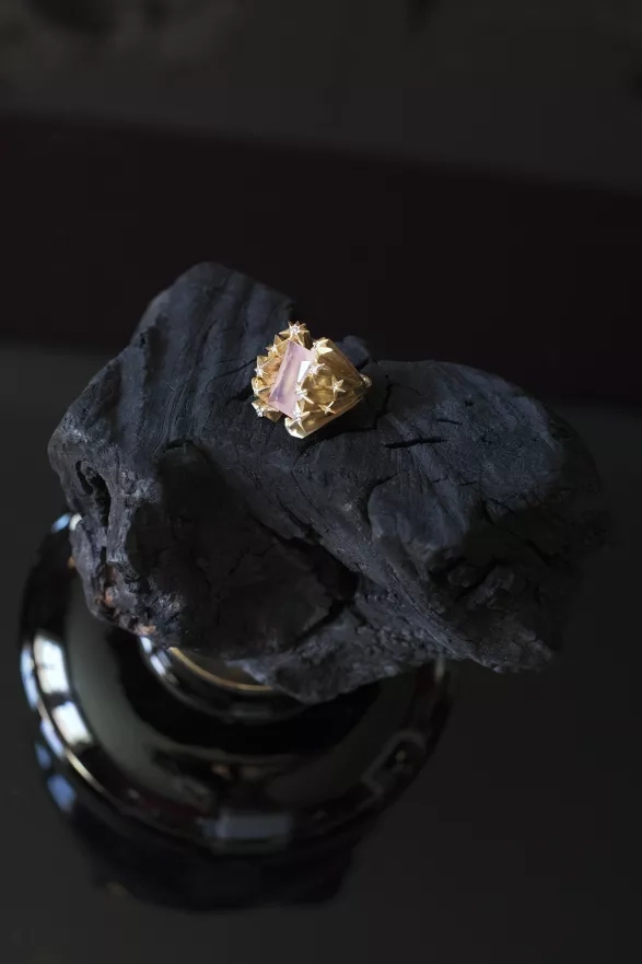 archiv Janji Prokić archiv Janji Prokić