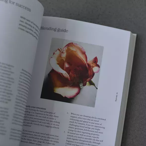 Book Therapy Book Therapy