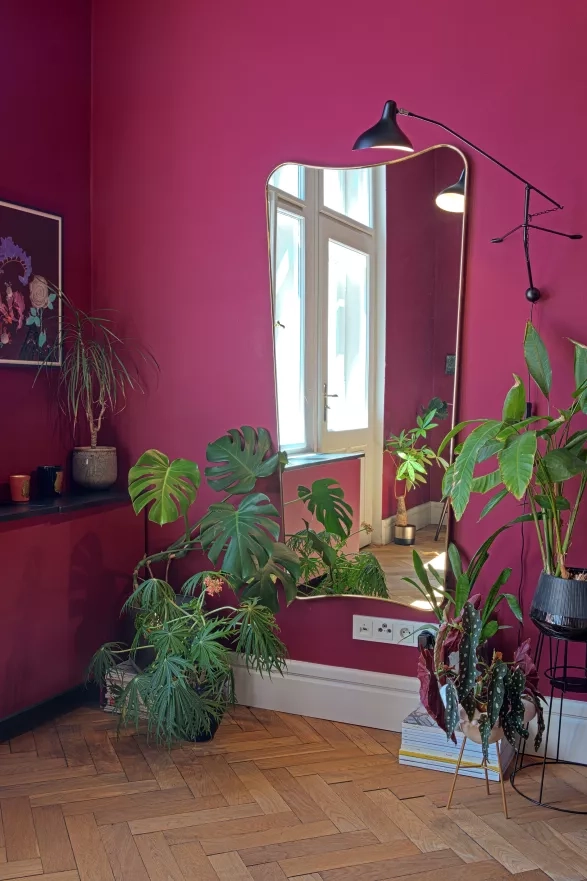 archiv Janji Prokić archiv Janji Prokić