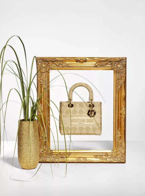 Dior Medium Lady-D Lite Bag Dior Medium Lady-D Lite Bag