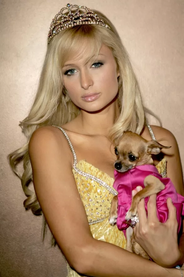 Paris Hilton Paris Hilton