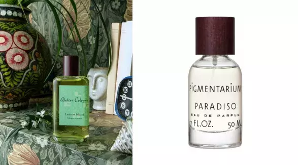 Terapie vůní Terapie vůní