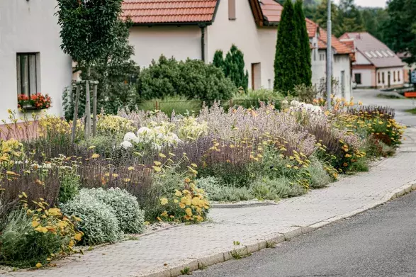Možnosti vesnice Možnosti vesnice