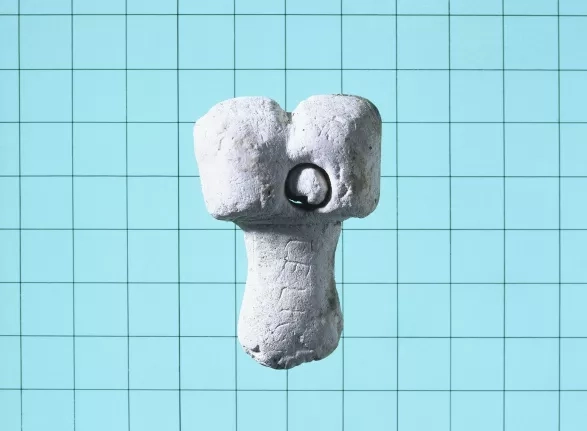 Vše, co jste kdy (ne)chtěli vědět o penisu Vše, co jste kdy (ne)chtěli vědět o penisu