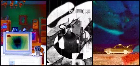 Setareh Shahbazi Setareh Shahbazi