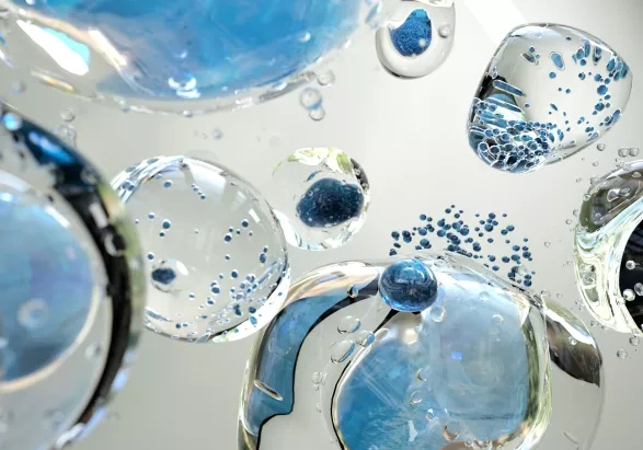 Blue Beauty Blue Beauty