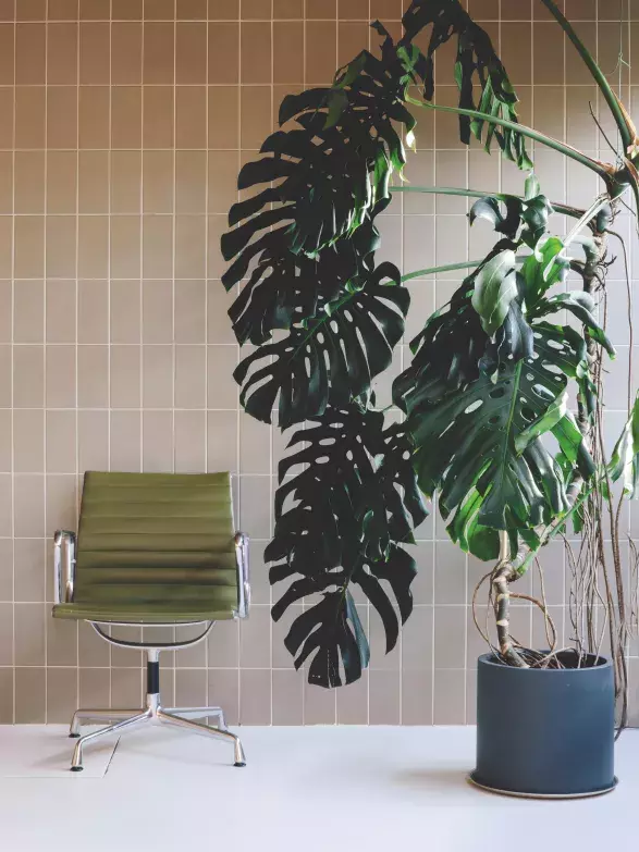 Národní sauna Národní sauna