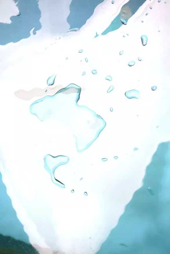 Aroma Library Myrta, 2021 by Veronika Čechmánková Aroma Library Myrta, 2021 by Veronika Čechmánková