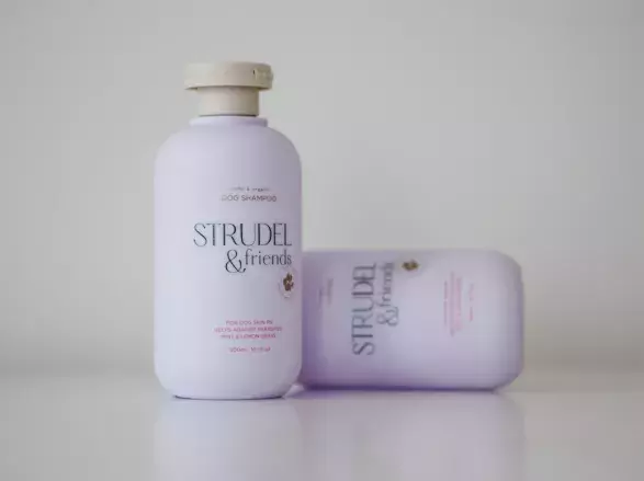 STRUDEL & friends STRUDEL & friends