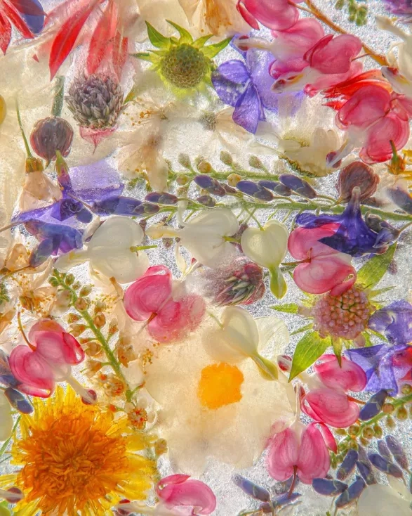 JOE HORNER JOE HORNER