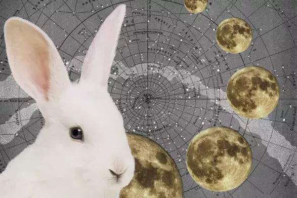 NOVÝ ČÍNSKÝ ROK NOVÝ ČÍNSKÝ ROK