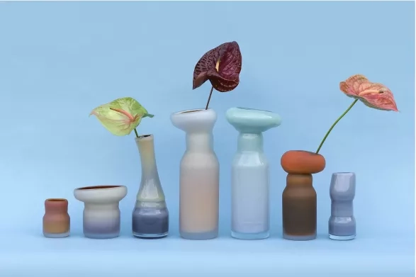 Fungus, David Valner Fungus, David Valner