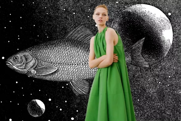 Znamení ryb Znamení ryb