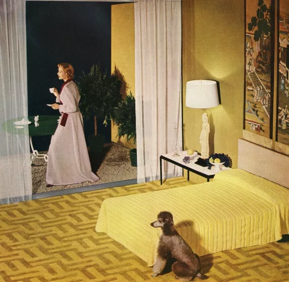 Mindfulness Mindfulness