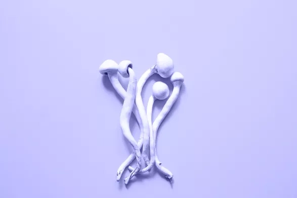 Microdosing Microdosing