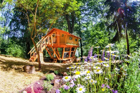 Treehouse Zvičina Treehouse Zvičina