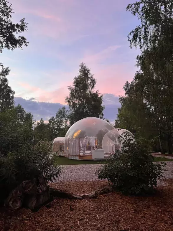 V Bublině V Bublině