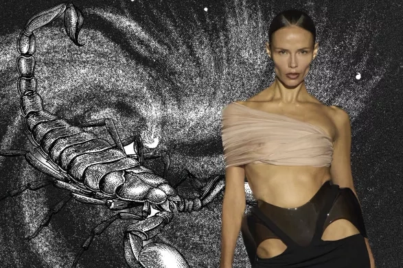 Horoskop pro znamení Štíra Horoskop pro znamení Štíra