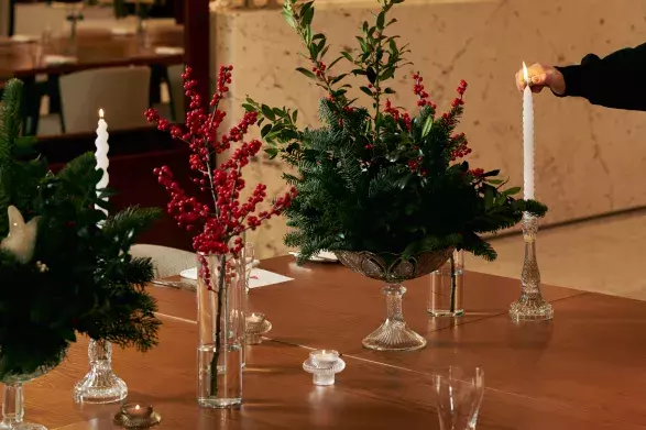 AlmanacXAlcron AlmanacXAlcron