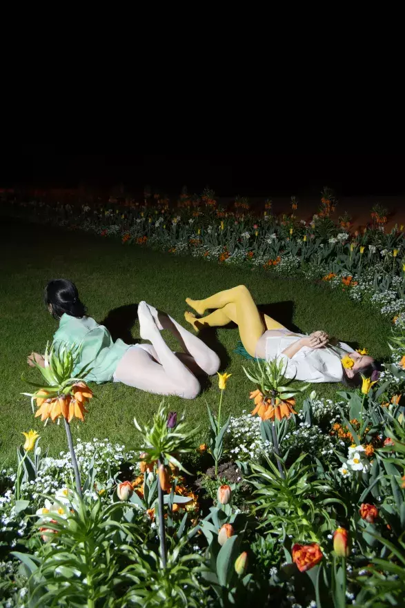 Forget Me Not Forget Me Not