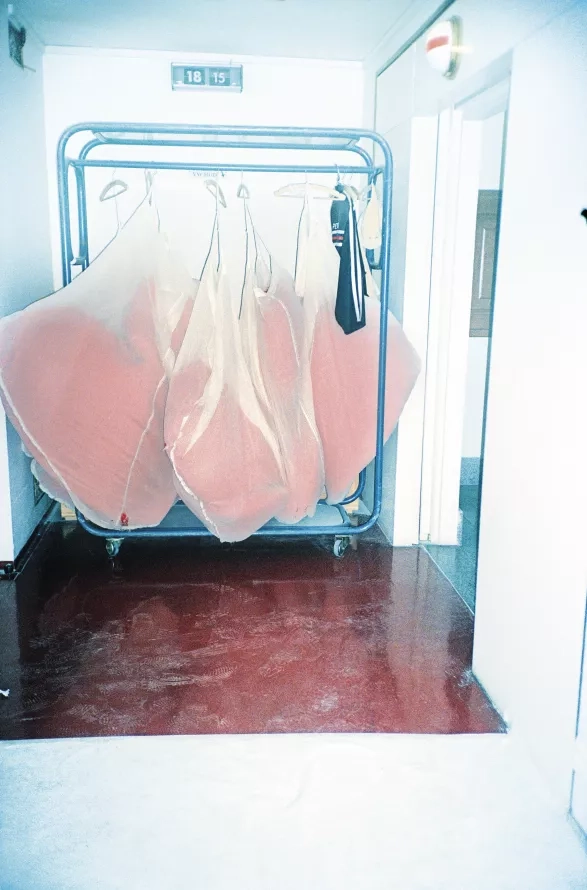 Pusinky ze série Národní divadlo, Libuše Jarcovjáková Pusinky ze série Národní divadlo, Libuše Jarcovjáková