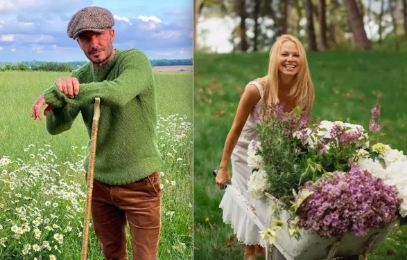 Celebrity gardening Celebrity gardening