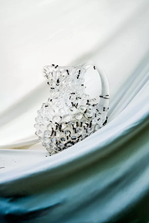 Klára Dostálová Klára Dostálová