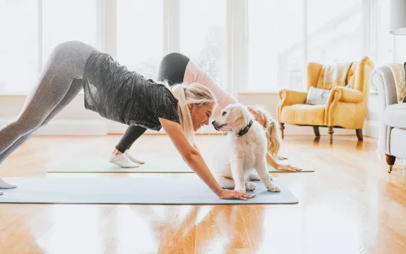 Galentine's Day Galentine's Day