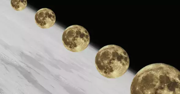 Placeholder image Placeholder image