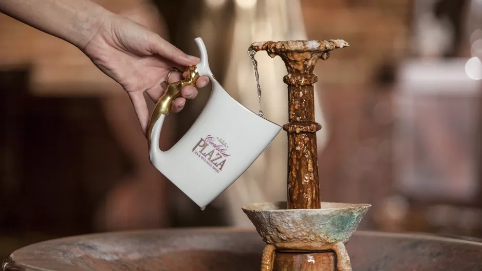 Carlsbad Plaza Medical Spa & Wellness hotel 5*Superior Carlsbad Plaza Medical Spa & Wellness hotel 5*Superior