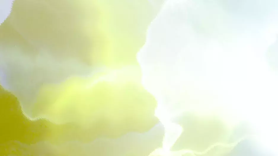 Datura Match, 202 by Veronika Čechmánková Datura Match, 202 by Veronika Čechmánková