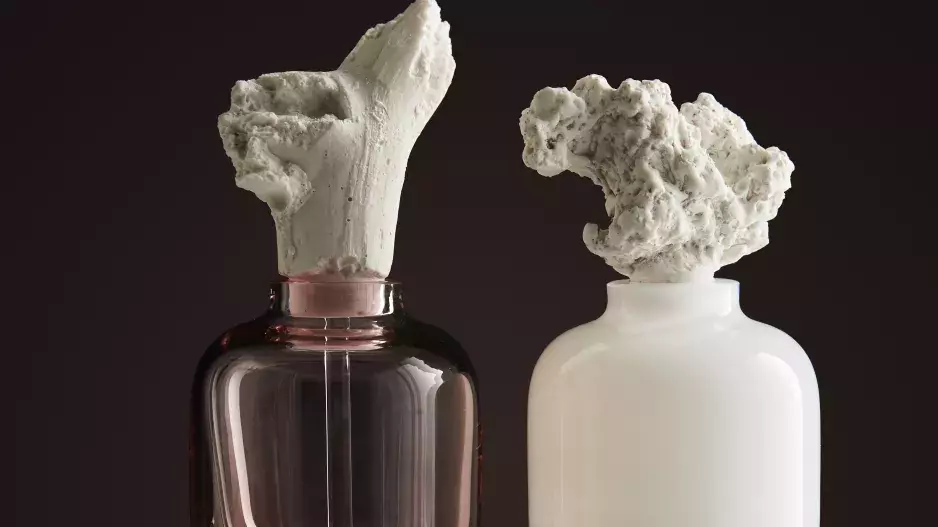 SCENT ROCHE SCENT ROCHE