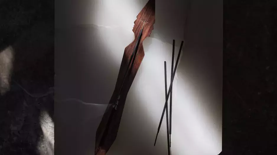 PIGMENTARIUM PIGMENTARIUM