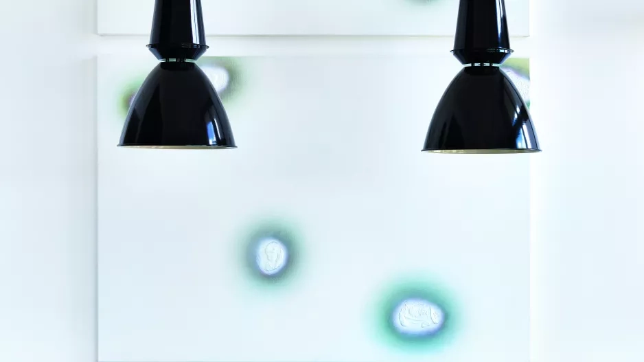 Byt galeristky Olgy Trčkové Byt galeristky Olgy Trčkové