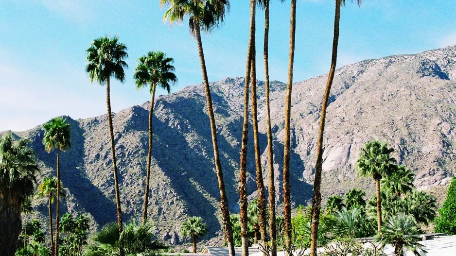 Palm Springs Palm Springs