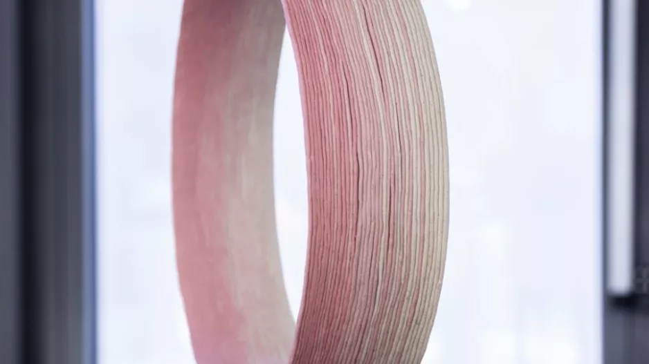 PAULA BENČATOVÁ, kolekce In a Certain Moment PAULA BENČATOVÁ, kolekce In a Certain Moment