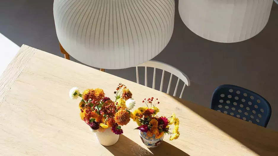 Mezi Sklepy Mezi Sklepy