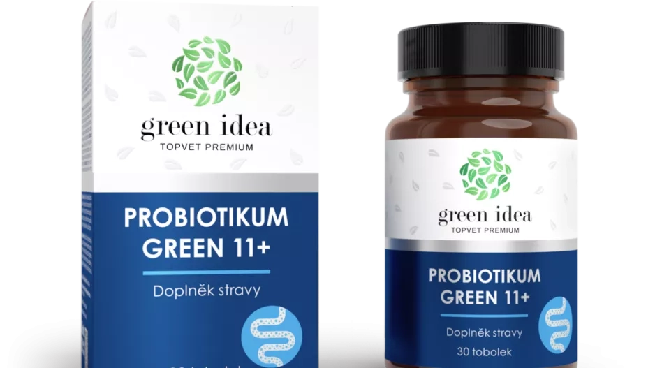 Green Idea Green Idea